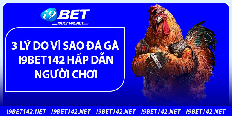 3 Lý Do Vì Sao Đá Gà i9bet142 Hấp dẫn Người Chơi