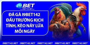 Đá Gà i9Bet142 – Đấu Trường Kịch Tính, Kèo Nảy Lửa Mỗi Ngày