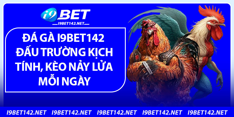 Đá Gà i9Bet142 – Đấu Trường Kịch Tính, Kèo Nảy Lửa Mỗi Ngày