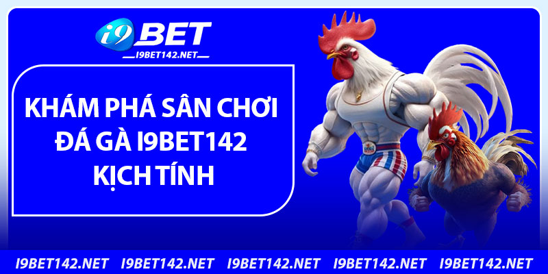Khám phá sân chơi đá gà i9bet142 kịch tính