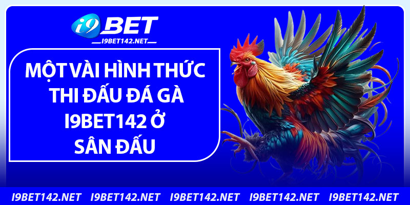 Một vài hình thức thi đấu đá gà i9bet142 ở sân đấu